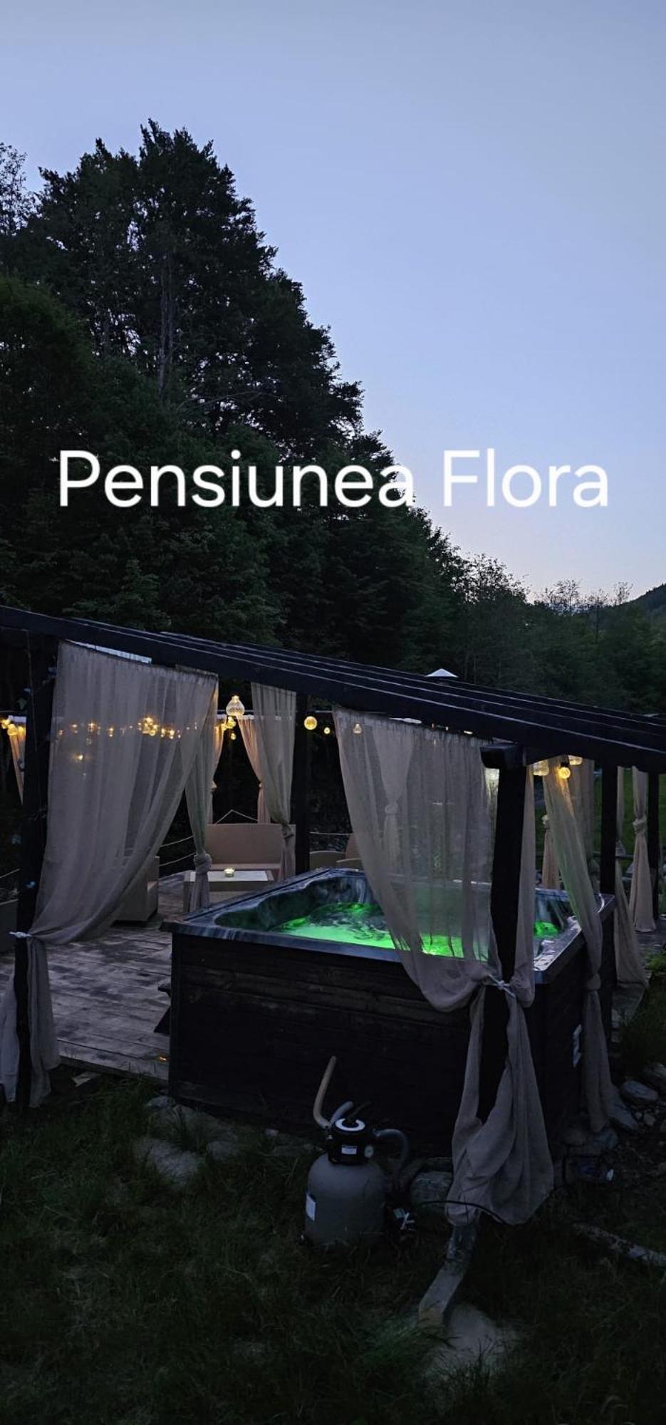Pensiunea Flora Cartisoara Ngoại thất bức ảnh